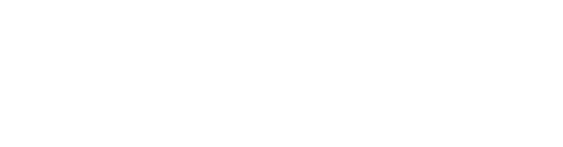 WIRZ Communications